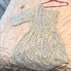 Express Zebra print dress